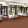 EYES-ON-YOU-54530-PAVO-30800-room-image
