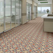 NATURES-CRAFT-54531-NATIONAL-31500-room-image