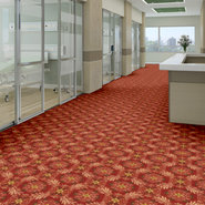 NATURES-CRAFT-54531-HERA-31800-room-image