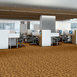 LOWLAND-54532-INDUS-32704-room-image
