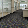 INS-AND-OUTS-54534-HARNESS-34400-room-image