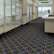 INS-AND-OUTS-54534-HARNESS-34400-room-image