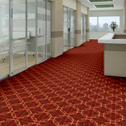 INS-AND-OUTS-54534-OSSEL-34800-room-image
