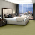 ZESTY-ZEBRA-54535-GRASSLAND-NOMAD-35302-room-image