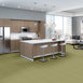 ZESTY-ZEBRA-54535-GRASSLAND-NOMAD-35302-room-image