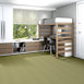 ZESTY-ZEBRA-54535-GRASSLAND-NOMAD-35302-room-image