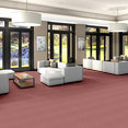 ZESTY-ZEBRA-54535-WILD-AT-HEART-35802-room-image