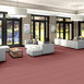 ZESTY-ZEBRA-54535-WILD-AT-HEART-35802-room-image