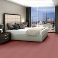 ZESTY-ZEBRA-54535-WILD-AT-HEART-35802-room-image