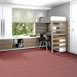 ZESTY-ZEBRA-54535-WILD-AT-HEART-35802-room-image