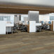 STATIC-54564-TRANSMITTER-00201-room-image