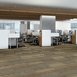 STATIC-54564-TRANSMITTER-00201-room-image