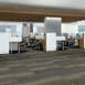 STATIC-54564-CIRCUIT-00301-room-image