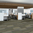 STATIC-54564-SIGNAL-00303-room-image
