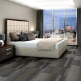 STATIC-54564-VELOCITY-00501-room-image