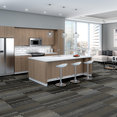 STATIC-54564-VELOCITY-00501-room-image