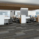 STATIC-54564-VELOCITY-00501-room-image