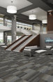 STATIC-54564-VELOCITY-00501-room-image