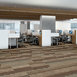 STATIC-54564-FREQUENCY-00700-room-image