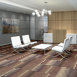 STATIC-54564-ECHO-00902-room-image