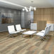 FEEDBACK-54565-RECEIVER-00103-room-image