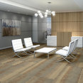 FEEDBACK-54565-TRANSMITTER-00201-room-image