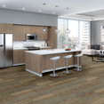 FEEDBACK-54565-TRANSMITTER-00201-room-image