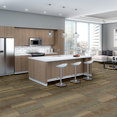 FEEDBACK-54565-TRANSMITTER-00201-room-image