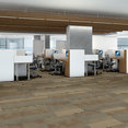 FEEDBACK-54565-TRANSMITTER-00201-room-image