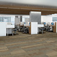 FEEDBACK-54565-TRANSMITTER-00201-room-image