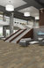 FEEDBACK-54565-TRANSMITTER-00201-room-image