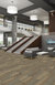 FEEDBACK-54565-TRANSMITTER-00201-room-image