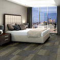 FEEDBACK-54565-CIRCUIT-00301-room-image