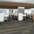 FEEDBACK-54565-CIRCUIT-00301-room-image