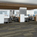 FEEDBACK-54565-CIRCUIT-00301-room-image