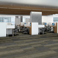 FEEDBACK-54565-CIRCUIT-00301-room-image