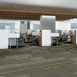 FEEDBACK-54565-SIGNAL-00303-room-image