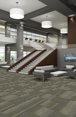 FEEDBACK-54565-SIGNAL-00303-room-image