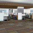 FEEDBACK-54565-CO-CHANNEL-00406-room-image