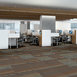 FEEDBACK-54565-CO-CHANNEL-00406-room-image