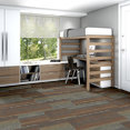 FEEDBACK-54565-CO-CHANNEL-00406-room-image
