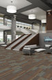 FEEDBACK-54565-CO-CHANNEL-00406-room-image