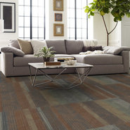 FEEDBACK-54565-CO-CHANNEL-00406-room-image