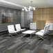 FEEDBACK-54565-VELOCITY-00501-room-image
