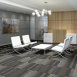 FEEDBACK-54565-VELOCITY-00501-room-image