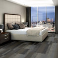 FEEDBACK-54565-VELOCITY-00501-room-image