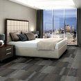 FEEDBACK-54565-VELOCITY-00501-room-image