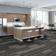 FEEDBACK-54565-VELOCITY-00501-room-image