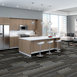 FEEDBACK-54565-VELOCITY-00501-room-image