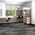 FEEDBACK-54565-VELOCITY-00501-room-image
